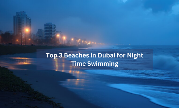 night beaches in dubai